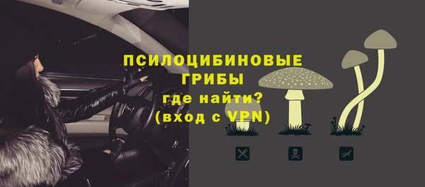 а пвп мука Абаза