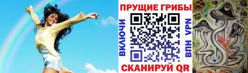 Галлюциногенные грибы прущие грибы  omg как зайти  Суздаль 